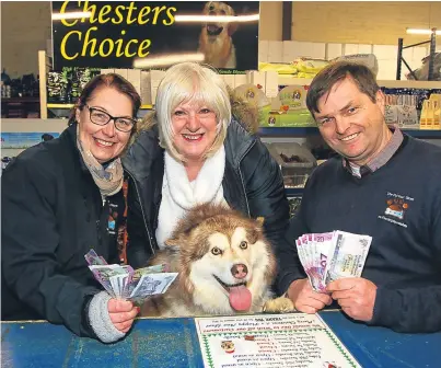  ??  ?? Anne and Brian Terry from the Pet Food Store hand over the £600 to Sandra Boyle from Help for Abandoned Animals. Also pictured is Kita. Picture: Gareth Jennings.