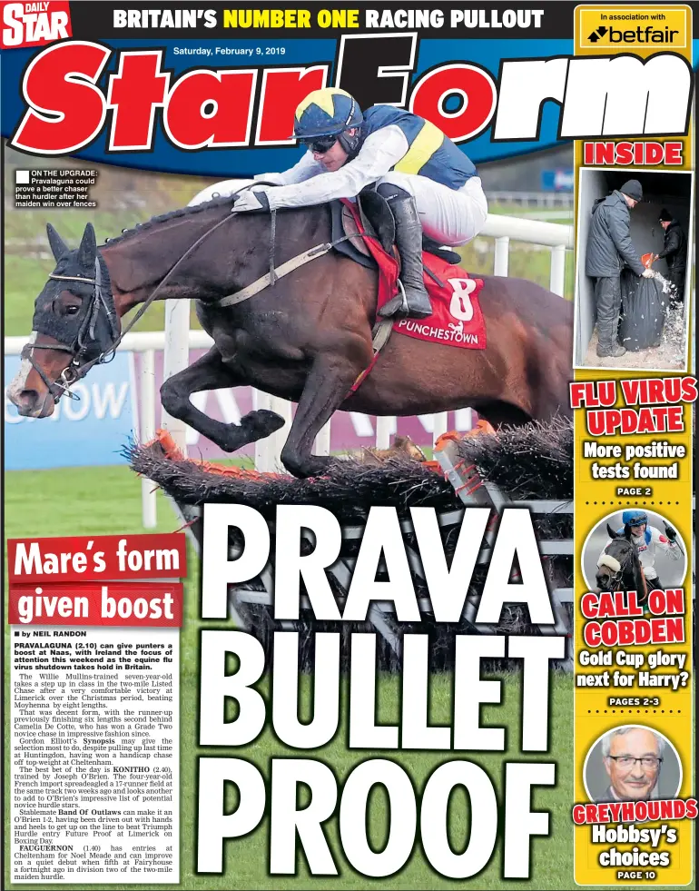  ??  ?? ON THE UPGRADE: Pravalagun­a could prove a better chaser than hurdler after her maiden win over fences