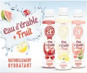  ??  ?? Récemment primé, le jus à l’érable et aux fruits d’Anti Plus est un exemple des produits à base d’eau d’érable offerts sur le marché.