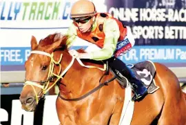  ?? Picture: JC Photograph­ics ?? FAVOURITE: Fired Up has been priced up as the 13-2 favourite for the R500,000 World Sports Betting Grand Heritage (Non-Black Type) over 1475m at the Vaal on Saturday.