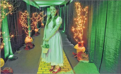  ?? TINA COMEAU ?? Under the glow of the Emerald City, Dorothy – a.k.a. Seafest Queen Hannah Wallace – welcomes people as they stepped down the yellow brick road and into the annual spring gala for the Yarmouth Regional Hospital.