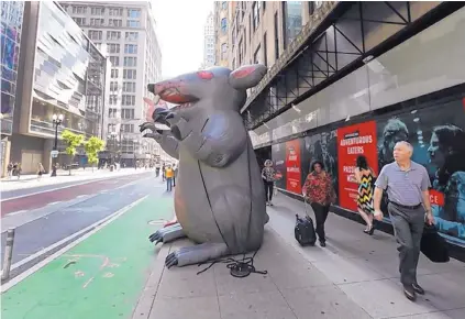  ?? JOSE M. OZORIO/CHICAGO TRIBUNE ?? Several inflatable rats stand outside of a building on W. Washington Street in Chicago’s Loop earlier this month. Created in Chicago nearly 30 years ago, Scabby, the giant inflatable union protest rat that has become a fixture at picket lines, may be banned by new labor board rulings for scaring away customers.