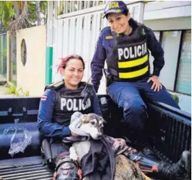  ?? MSP. ?? Esta es la perrita rescatada en Chacarita de Puntarenas.