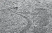  ?? [PHOTO BY DERICK E. HINGLE, BLOOMBERG FILE] ?? A vessel passes through oil on the surface of the water around the site of the Deepwater Horizon oil spill in the Gulf of Mexico near the coast of Louisiana on June 2, 2010.