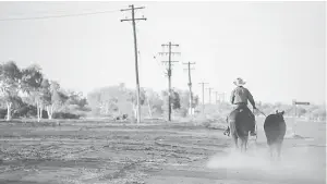  ??  ?? A stockman rides his horse as he leads another down a road towards the cattle yards in the outback town of Windorah, Queensland, located south of Stonehenge, in Australia, August 11