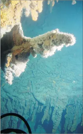  ??  ?? Rusticle growth is consuming the Titanic under the chilly Atlantic Ocean.