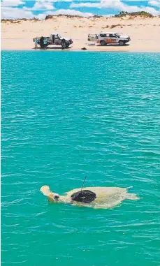  ?? ?? Pennefathe­r River at Cape York. Picture: Stuart Ireland