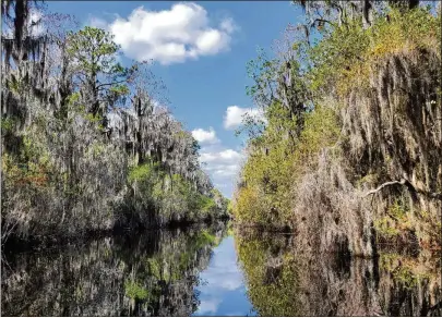  ?? COURTESY OF EMILY JONES/WABE ?? Former U.S. Rep. Newt Gingrich and his daughter, Jackie Gingrich Cushman, urge Georgians to back bipartisan-supported House Bill 71 in the Georgia Legislatur­e to protect the Okefenokee Swamp, a National Wildlife Refuge, from mining.