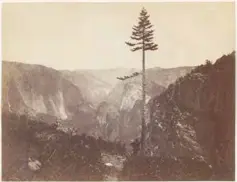  ?? ?? Charles Leander Weed (18241903), Yo-semite [stet] Valley from Mariposa Trail, California, 1865, albumen print. Ron Perisho Collection. Courtesy National Nordic Museum.