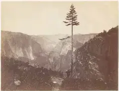  ?? ?? Charles Leander Weed (18241903), Yo-semite [stet] Valley from Mariposa Trail, California, 1865, albumen print. Ron Perisho Collection. Courtesy National Nordic Museum.