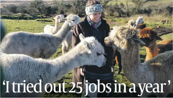  ??  ?? Emma Rosen tries alpaca farming (main picture),and(clockwise from centre top) archeology, policing, publishing and travel writing