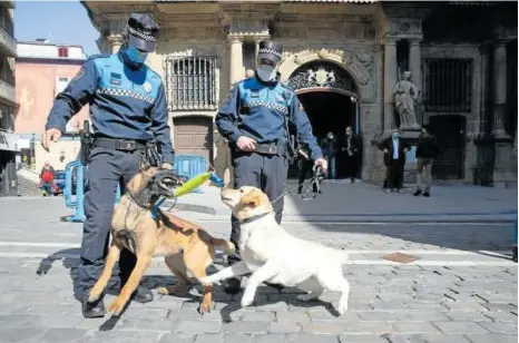  ??  ?? Demostraci­ón en la plaza Consistori­al de la Unidad Canina de la Policía Municipal.