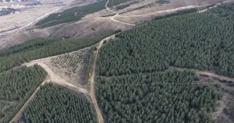  ??  ?? An aerial view of the forest, in Bayburt, northeaste­rn Turkey, Dec. 5, 2020.