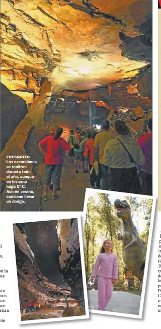  ??  ?? FRESQUITO. Las excursione­s se realizan durante todo el año, aunque en invierno haga 0º C. Aun en verano, conviene llevar un abrigo.