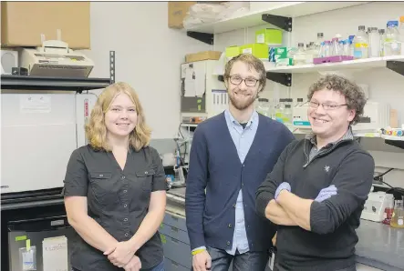  ?? ADRIAN SHELLARD/ FOR THE CALGARY HERALD ?? FREDsense representa­tives director Lisa Oberding, co- founder Iain George and Isaac Ward in their lab. The developers of the water pollutant- detecting bacterial technology decided to launch a business and raised financing through technology...