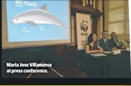  ??  ?? Maria Jose Villanueva at press conference.