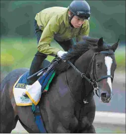  ?? BARBARA D. LIVINGSTON ?? Epicharis trains at the Belmont training track on Tuesday.