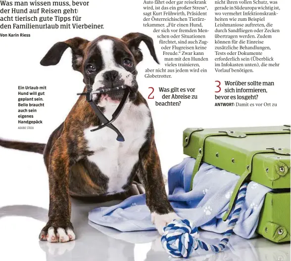  ?? ADOBE STOCK ?? Ein Urlaub mit Hund will gut geplant sein. Bello braucht auch sein eigenes Handgepäck ANTWORT: