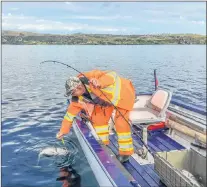  ??  ?? Gary Mercer of Spaniard’s Bay spending a morning doing something he loves.