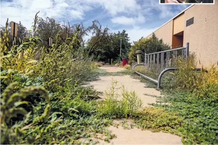  ?? GABRIELA CAMPOS/THE NEW MEXICAN ?? Weeds overtake a bicycle rack and spill onto the sidewalk near the side entrance of the Greer Garson Theatre on Thursday. The fate of the midtown venue has been in limbo since the Santa Fe University of Art and Design closed in May, but the Jean Cocteau Cinema — owned by George R.R. Martin, inset — is talking with the city about a potential lease for the facility.