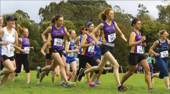  ??  ?? Action from the Novice ladies raceat the Wexford Athletics event at John F Kennedy Arboretum.