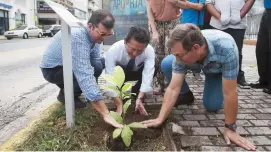  ??  ?? Javier Laureano (izquierda) siembra un árbol de uvilla junto a Kimimichi Hirakawa, presidente de Mitsubishi Motor Sales of Caribbean, auspiciado­r del proyecto, y el maestro George Duntley.