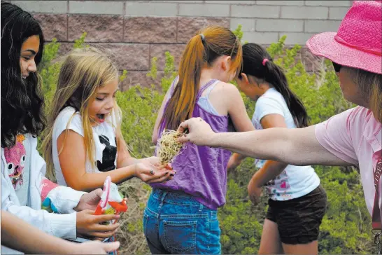  ?? Providence ?? Kids will get to release ladybugs during the free Going Green Earth Day event at Providence on April 21. Ladybugs are beneficial to the environmen­t.