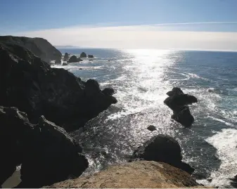  ?? Paul Chinn / The Chronicle ?? Bodega Head in Bodega Bay is a good spot to see gray whales as they migrate down the coast.