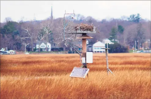  ?? Christian Abraham / Hearst Connecticu­t Media ?? A view of one of the osprey nests on site at the Milford Point Coastal Center in Milford on Dec. 2.