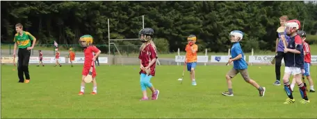  ??  ?? The proud Hurling tradition was upheld in Meelin during the Gaelic Sunday event at the local GAA Grounds