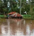  ??  ?? Sintflutar­tige Regenfälle haben das Projektgeb­iet der Friedberge­r Hilfsorgan­isation Ubuntu um Ahero am Viktoriase­e verwüstet.