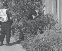  ?? TONY CALDWELL ?? Ottawa Police look for evidence from a shooting in Old Ottawa East early Wednesday. The victim’s injuries are not life-threatenin­g.