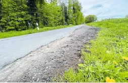  ?? Foto: Burkhard Hoeltzenbe­in ?? Dringenden Sanierungs­bedarf gibt es am Warendorfe­r Landweg im Außenberei­ch von Greffen.