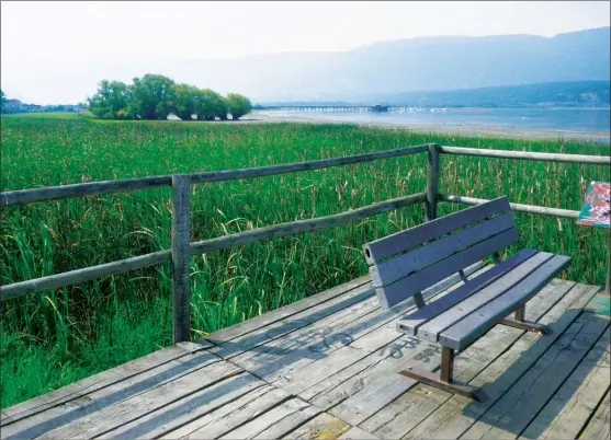  ?? J.P. SQUIRE/Special to The Okanagan Weekend ?? The Salmon Arm Bay Nature Trail is a four-kilometre long stroll (or bike ride) along the Shuswap Lake waterfront. It provides viewing platforms and a loop trail around Christmas Island to watch the many different types of waterfowl resting, feeding and...