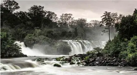  ?? Leonardo Milano ?? Parque Nacional Montanhas do Tumucumaqu­e, área de proteção ambiental integral localizada no Amapá e no Pará