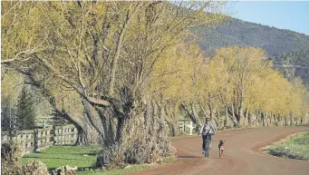  ?? Matt Power, provided by the Aspen Chamber ?? Montserrat Baggett, with her dog Lola, heads toward a portion of the Rio Grande Trail in 2019 in Basalt.