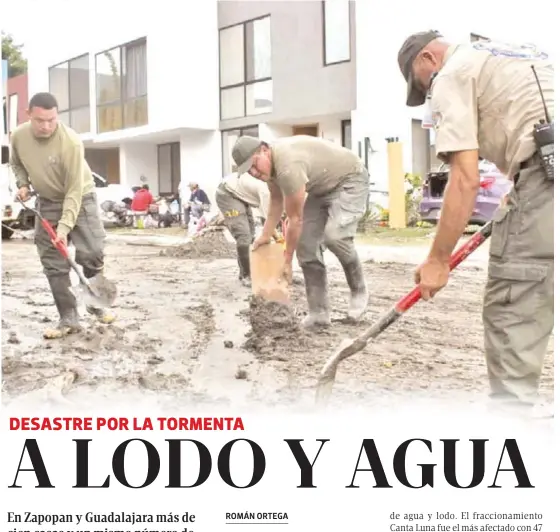  ?? FRANCISCO RODRÍGUEZ ??