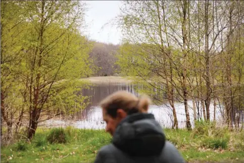  ?? ?? Hundredetu­sinder af hektar jord skal tages ud af drift, hvis klima- og naturmålen­e skal nås, mener Klimarådet. »Det er klart et andet landskab med mere plads til natur og skov,« siger Maria Reumert Gjerding. Foto: Gregers Tycho