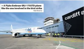  ?? Rob Browne ?? > A Flybe Embraer ERJ-175STD plane like the one involved in the bird strike