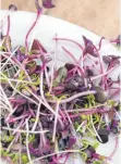  ?? FOTO: ROBERT GÜNTHER/DPA ?? Sehen hübsch aus und sind gesund: Microgreen­s wie Kresse und Rettichkei­mlinge.