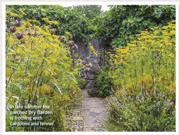  ??  ?? In late summer the parched Dry Garden is frothing with cardoons and fennel