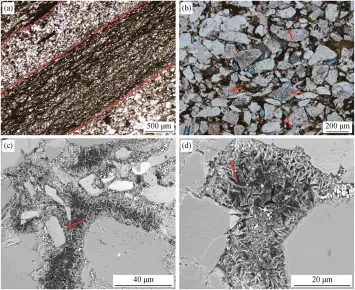  ??  ?? 图 1样品铸体薄片与扫描­电子显微镜照片Thi­n section and scanning electron microscope photos of the samples