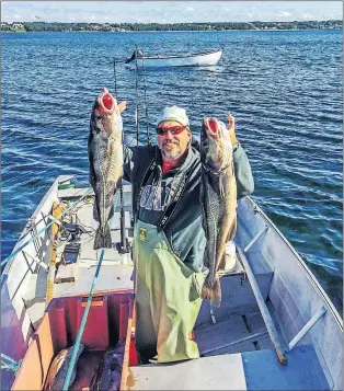  ?? GOLDIE SMITH PHOTO ?? A couple of dandy Spaniard’s Bay cod.