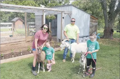  ?? LYNN KUTTER ENTERPRISE-LEADER ?? Hailey and Aaron Robinson have a hobby farm called The Dinky Creek Farm, which has goats, chickens and a small vegetable garden. They are pictured with Hailey’s children, Collin and Scarlett. Hailey emphasizes the hobby farm really belongs to her children who are learning how to take care of animals. The goats are Layla, Stinky Pete and Clarabelle. Above, right: These chickens, called Wheatons, are on The Dinky Creek Farm off Rheas Mill Road near Farmington. Left: Collin Stone with one of his goats named Minnie. His family’s Dinky Creek Farm has goats, chickens and a garden. Collin also shows a dairy cow each year at the Washington County Fair. He is a member of Goin’ Showin’ 4-H Club.