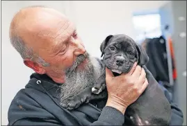  ??  ?? Rogols holds a 2-month-old bulldog-mix puppy, one of two that were in the Pickaway County Dog Shelter last week. Although 2017 numbers are still preliminar­y, out of almost 400 dogs to pass through in the year, only two were euthanized.