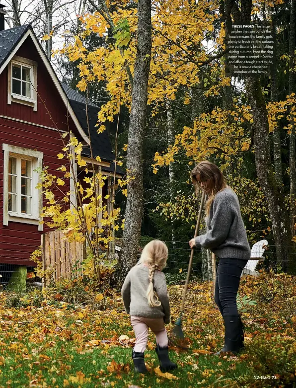  ??  ?? THESE PAGES The large garden that surrounds the house means the family gets plenty of fresh air; the colours are particular­ly breathtaki­ng during autumn; Fred the dog came from a kennel in Serbia and after a tough start to life, he is now a cherished member of the family.