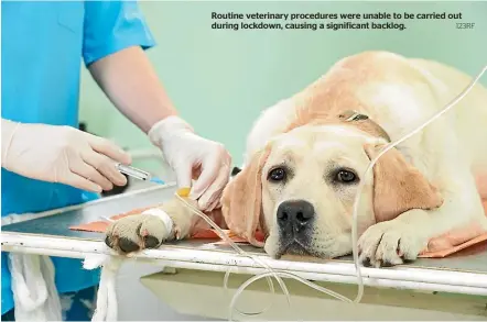  ?? 123RF ?? Routine veterinary procedures were unable to be carried out during lockdown, causing a significan­t backlog.
Dr Megan Alderson