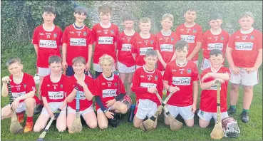  ?? ?? Kilworth Araglen Óg’s Fé11 hurlers following their recent Go Games fixture with Fermoy.