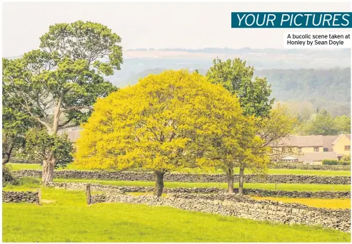  ??  ?? A bucolic scene taken at Honley by Sean Doyle