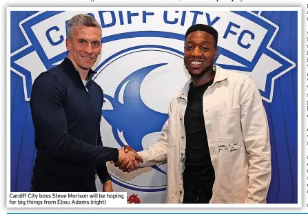  ?? ?? Cardiff City boss Steve Morison will be hoping for big things from Ebou Adams (right)